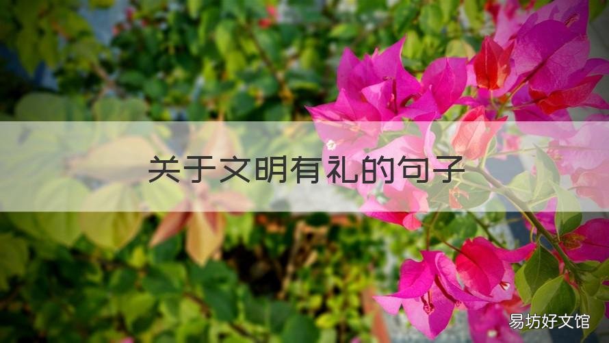 关于文明有礼的句子