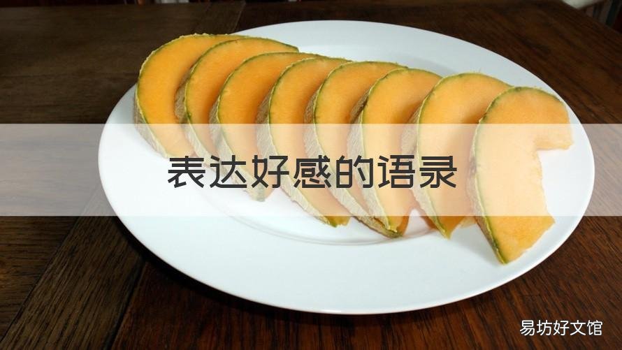 表达好感的语录 暗示对方有好感的语句