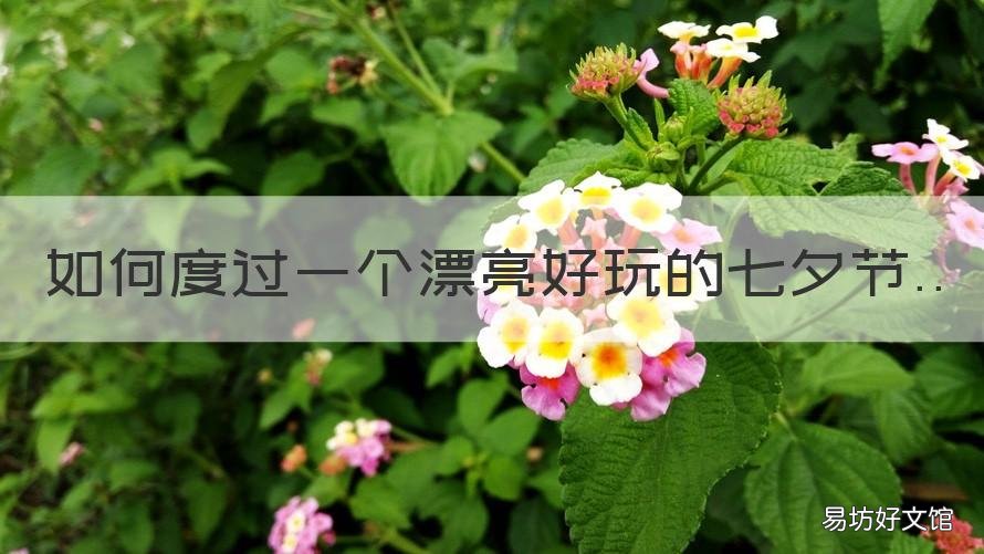 如何度过一个漂亮好玩的七夕节 浪漫七夕怎么过