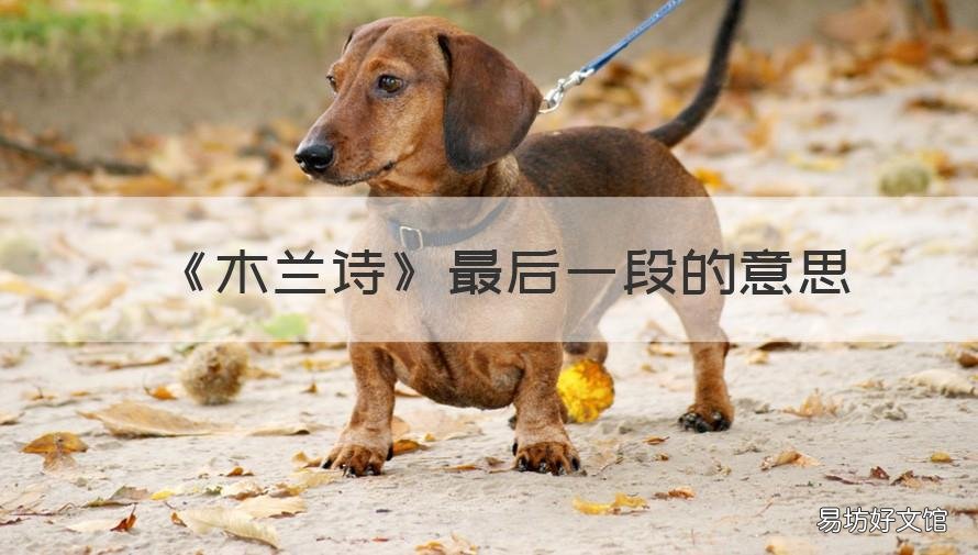 《木兰诗》最后一段的意思 木兰诗最后两段的段意