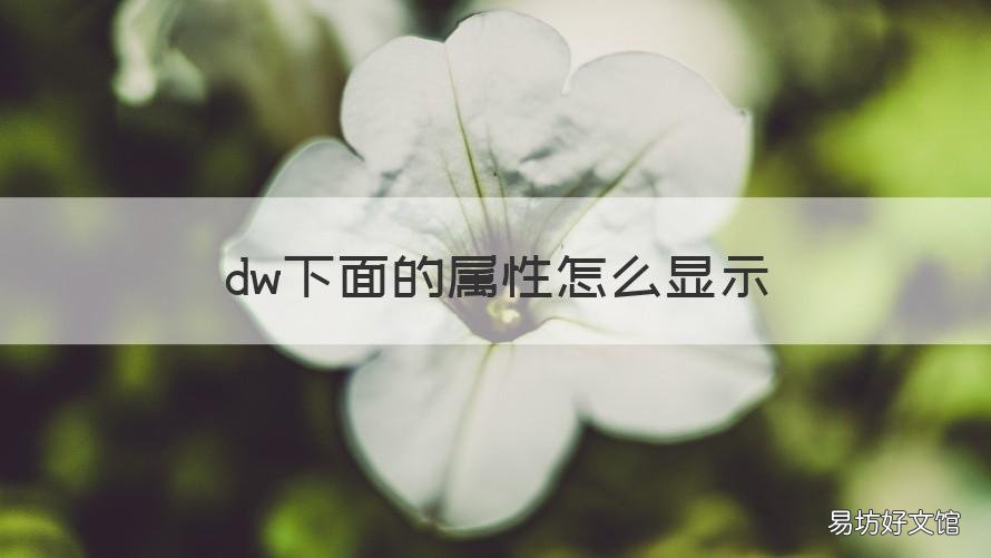 dw下面的属性怎么显示 dw属性在哪里