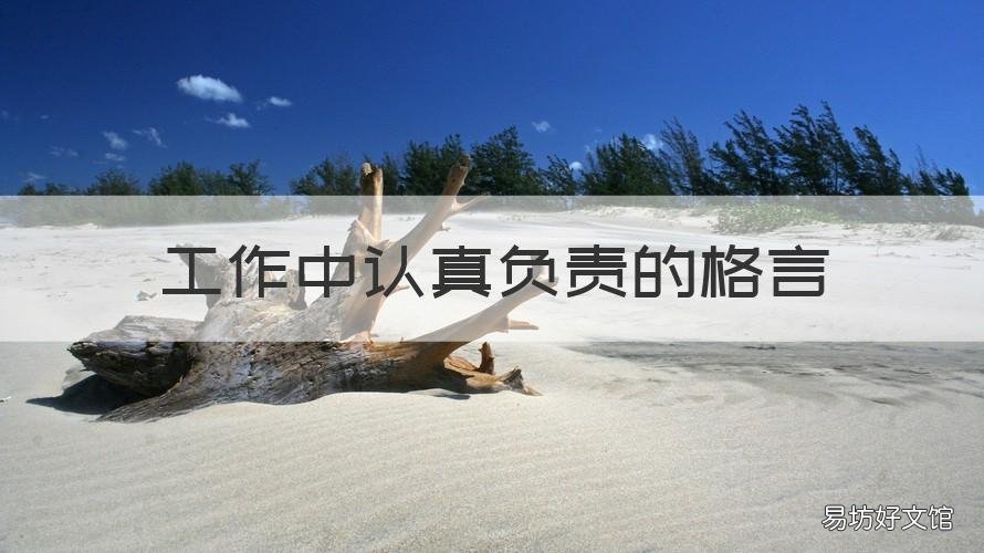 工作中认真负责的格言 关于认真工作的格言