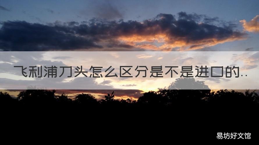 飞利浦刀头怎么区分是不是进口的 飞利浦旋转刀头什么意思