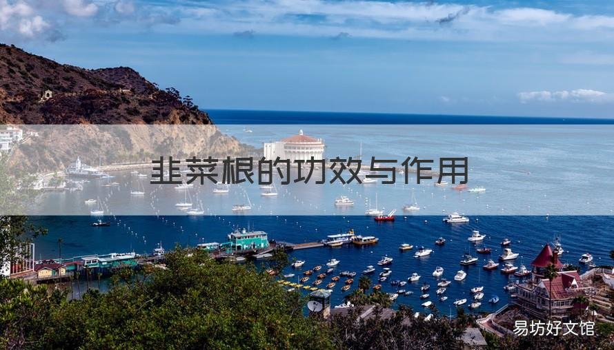 韭菜根的功效与作用 韭菜根的功效与作用及禁忌 韭菜根药用价值 - 致富热