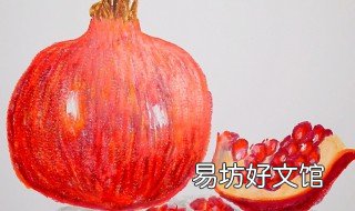石榴怎么画 石榴怎么画简单又漂亮好看