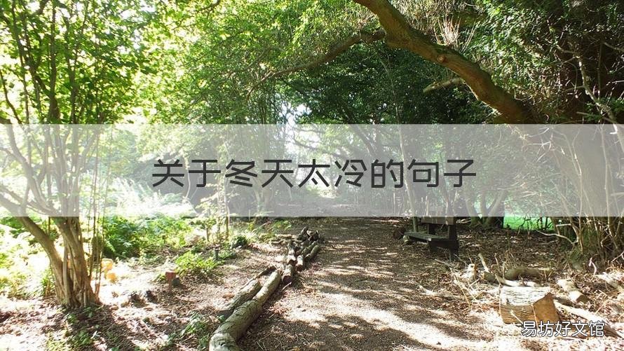 关于冬天太冷的句子 这个冬天太冷的句子