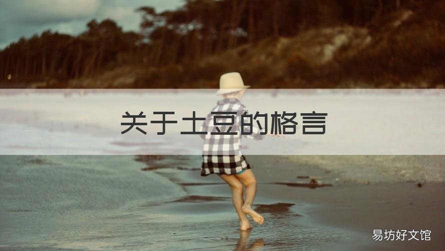 关于土豆的格言 关于土豆的格言有哪些