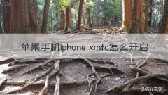 苹果手机iphone xrnfc怎么开启 苹果xrnfc功能在哪