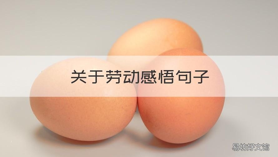 关于劳动感悟句子 劳动感悟的句子