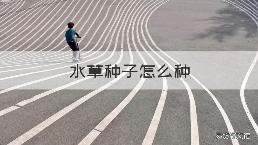 水草种子怎么种 水草种子怎么种发芽快