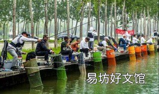 冬天鲢鱼怎么钓 冬天鲢鱼怎么钓效果好