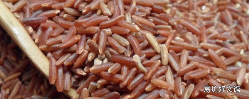 红米一般要泡多久才可以煮 红米不用泡,可以煮熟吗
