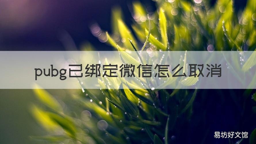 pubg已绑定微信怎么取消 pubg如何解绑微信