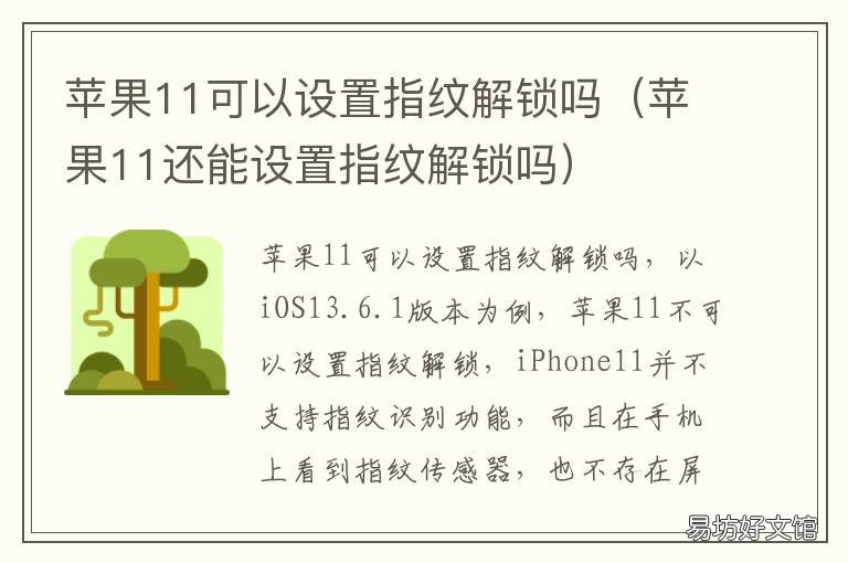 苹果11可以设置指纹解锁吗 苹果11能设置指纹解锁吗