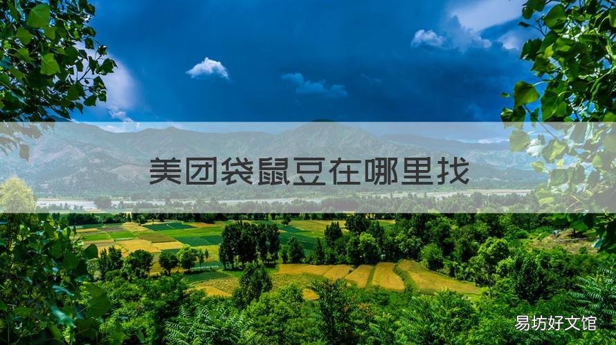 美团袋鼠豆在哪里找 美团外卖的袋鼠评团在哪里