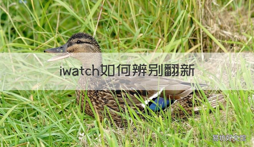 iwatch如何辨别翻新 applewatch4翻新鉴定