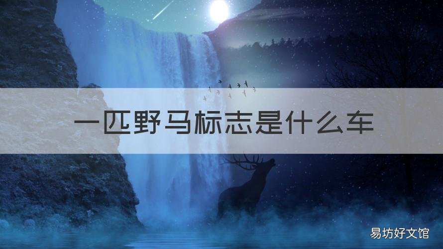 一匹野马标志是什么车 一匹野马标志是什么车品牌