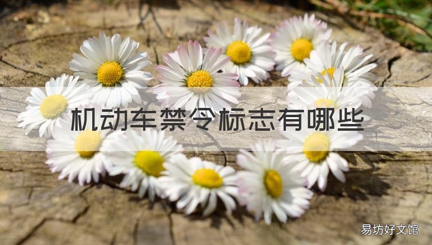 机动车禁令标志有哪些 汽车禁令标志有哪些