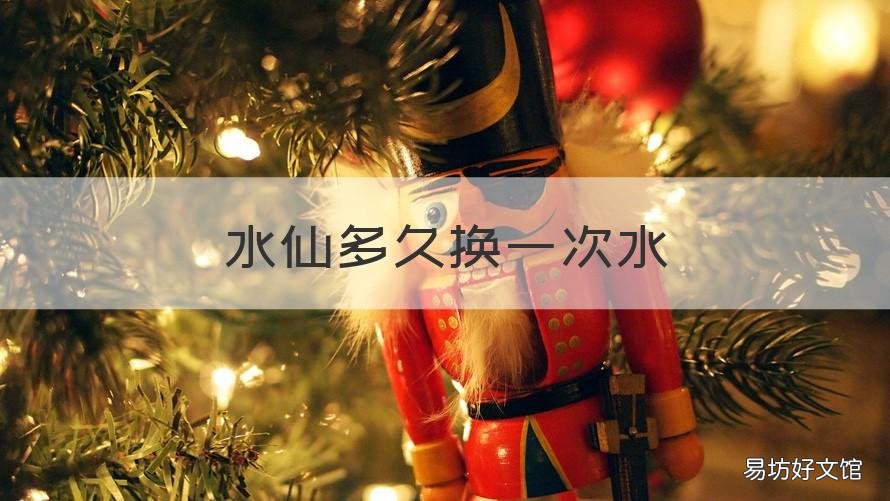 水仙多久换一次水 水仙的水多久换一次