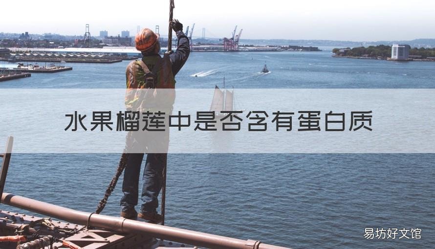 水果榴莲中是否含有蛋白质 水果榴莲中是否含有蛋白质多