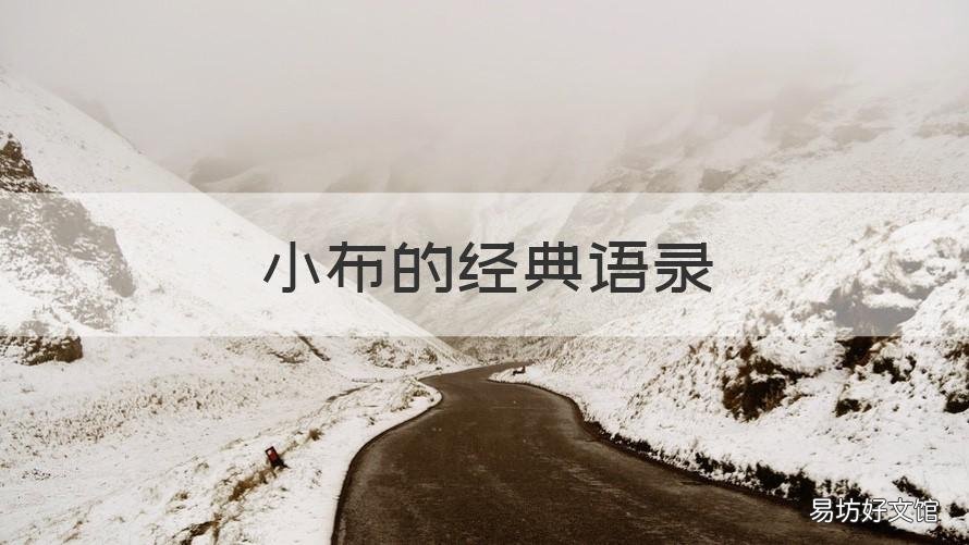 小布的经典语录 小布的经典语录日语