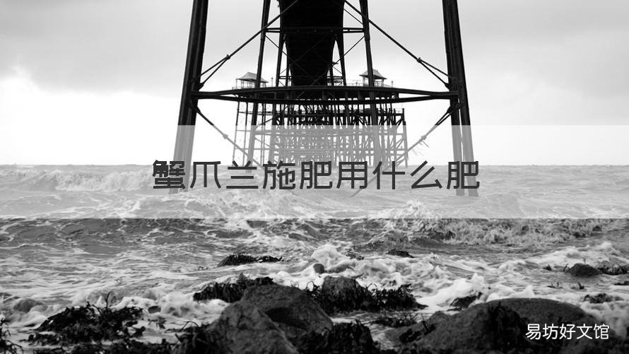 蟹爪兰施肥用什么肥 蟹爪兰使用什么肥
