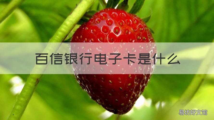百信银行电子卡是什么 百信银行有卡吗