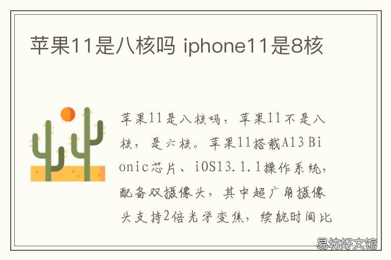 苹果11是八核吗 苹果11是八核吗还是七核