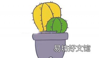 仙人掌怎么画 仙人掌怎么画素描