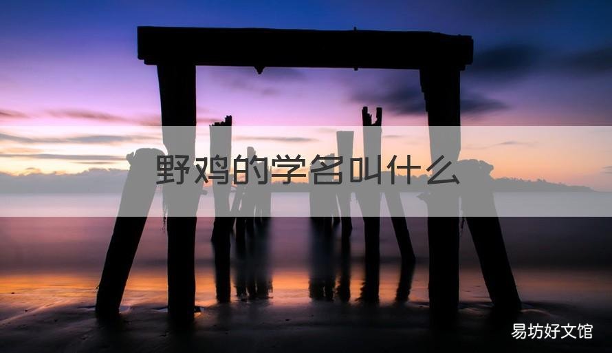 野鸡的学名叫什么 野鸡的大名叫什么