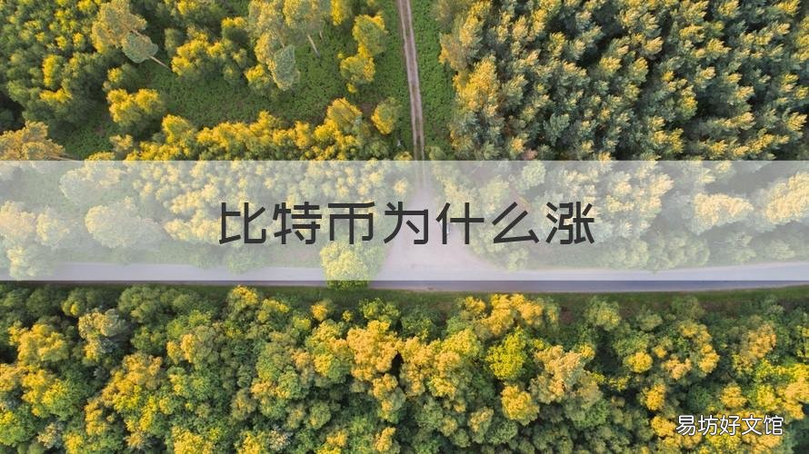 比特币为什么涨 比特币为什么涨这么凶