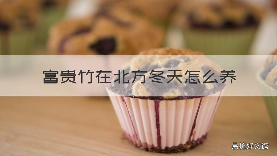 富贵竹在北方冬天怎么养 富贵竹在北方冬天怎么养活