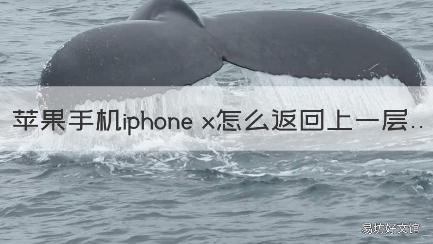 苹果手机iphone x怎么返回上一层 iphone如何返回上一层