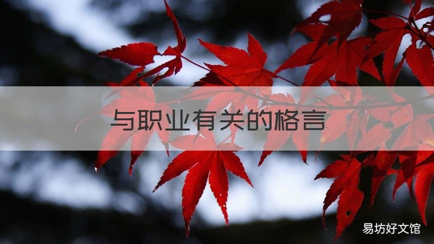 与职业有关的格言 关于职业的重要性的名言
