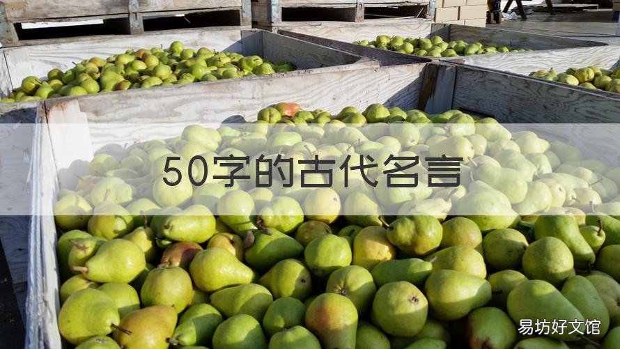50字的古代名言 50字以上的名言名句