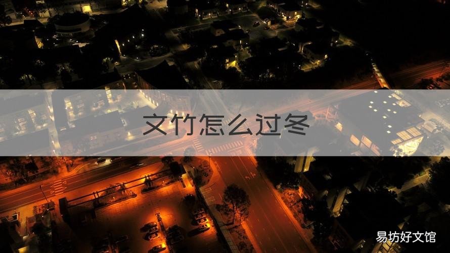 文竹怎么过冬 文竹过冬要套塑料袋