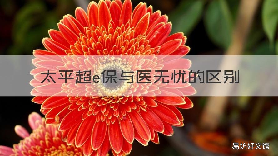 太平超e保与医无忧的区别 好医保和太平超e保哪个更好