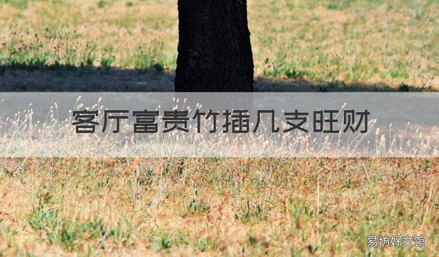 客厅富贵竹插几支旺财 富贵竹摆放几根聚财旺财