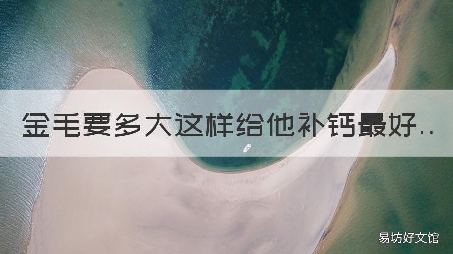 金毛要多大这样给他补钙最好 金毛多大不用补钙