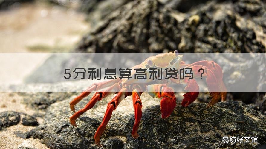 5分利息算高利贷吗 5分的利息是高利贷吗