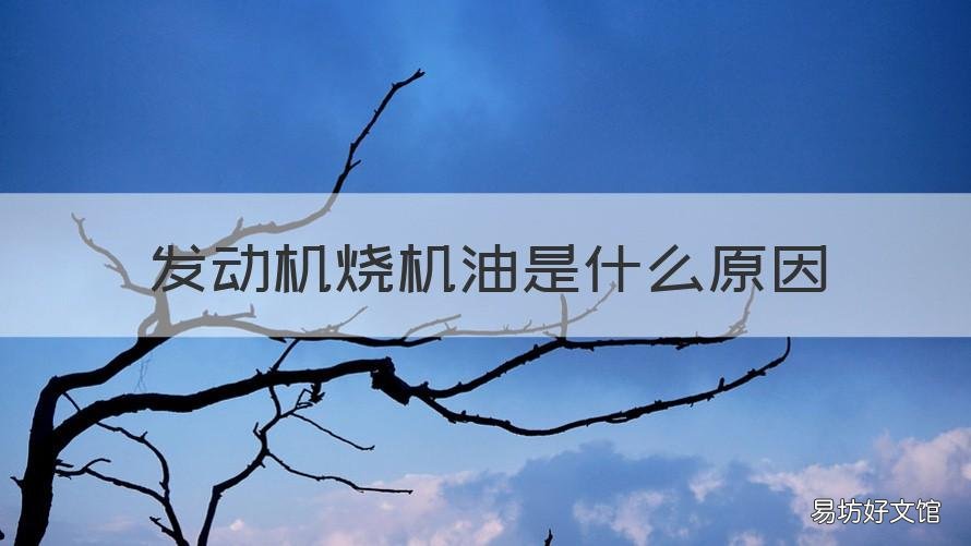 发动机烧机油是什么原因 摩托车发动机烧机油是什么原因