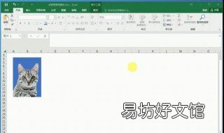 excel更改照片底色如何保存为图片 excel更改照片底色如何保存为图标