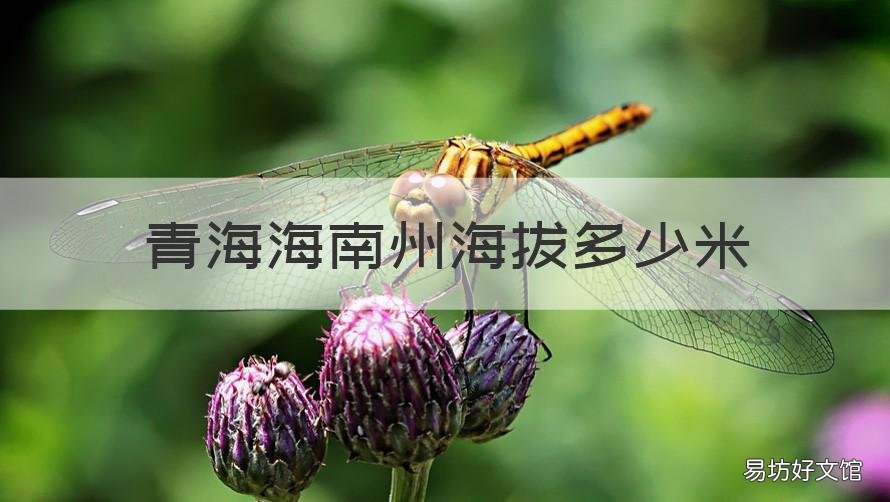 青海海南州海拔多少米 西宁海南州海拔是多少