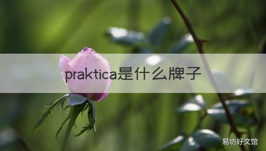 praktica是什么牌子