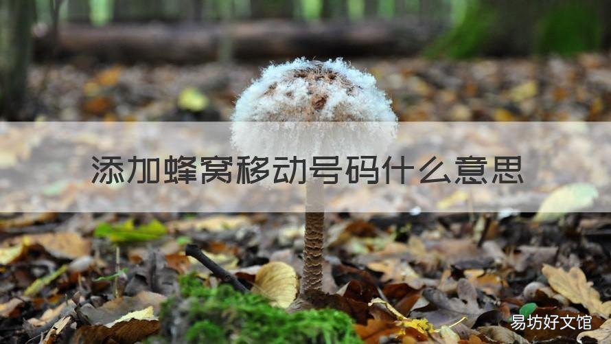添加蜂窝移动号码什么意思 蜂窝移动号码是什么意思