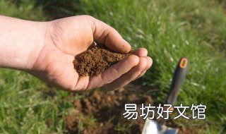 粘土矿物主要包括哪些矿物 粘土矿物的主要代表性矿物有