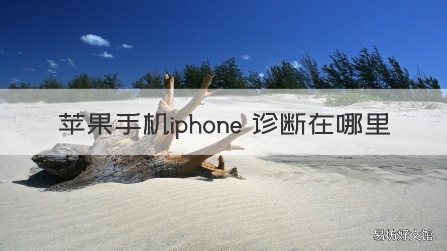 苹果手机iphone 诊断在哪里 iphone诊断程序在哪里