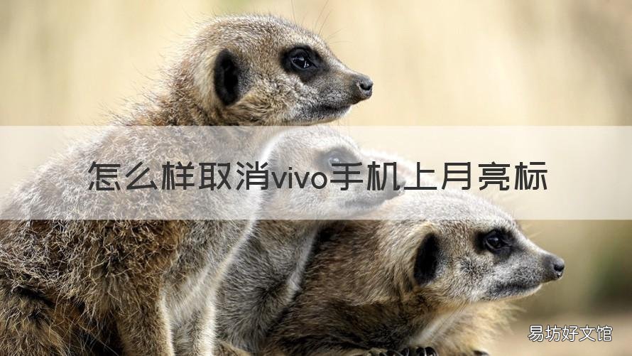 怎么样取消vivo手机上月亮标 怎么样取消vivo手机上月亮标记