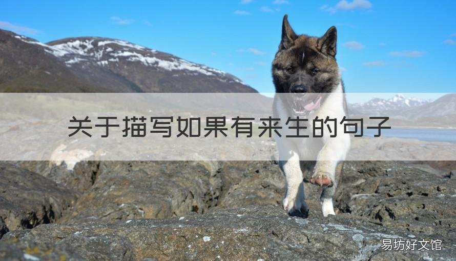 关于描写如果有来生的句子 形容如果有来生的句子