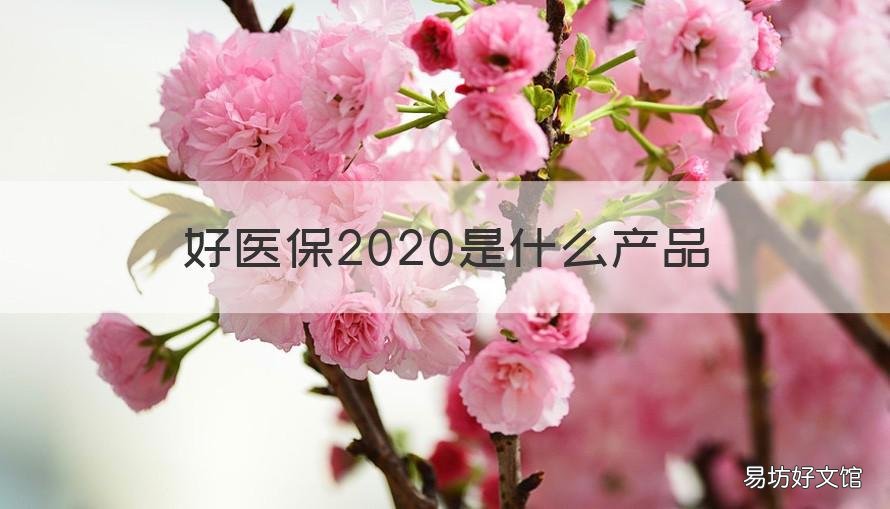 好医保2020是什么产品 好医保长期医疗险2020版怎么买